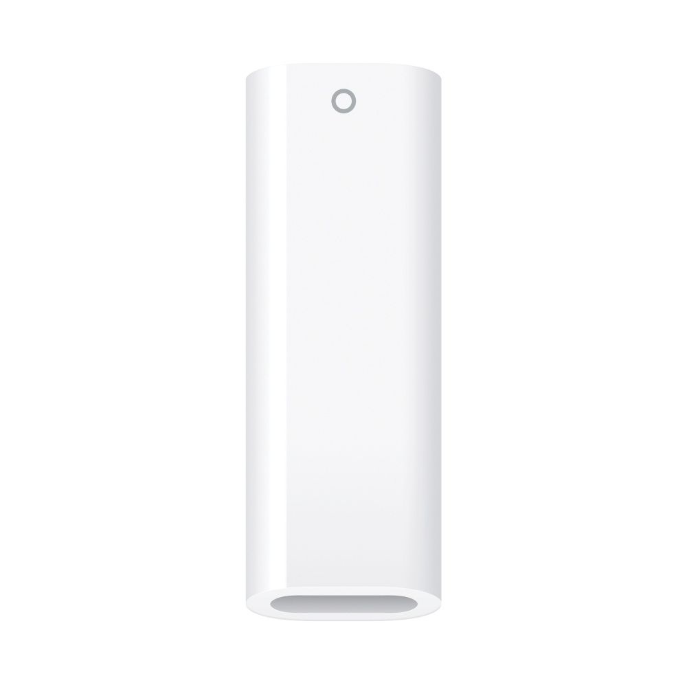 USB-C to Apple Pencil Adapter included with Apple Pencil (1st Generation)
